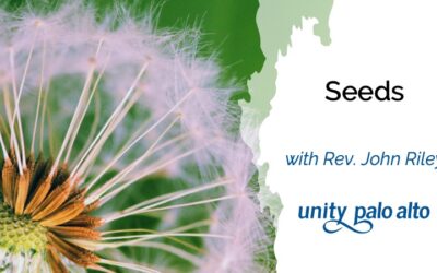 Seedswith Rev. John Riley